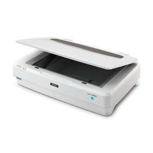 Escaner EPSON Expression 13000XL Fotografico, 2400 Dpi, Tamaño A3 , USB