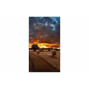 Monitor Señalizacion Digital Samsung 46 VM46B-U Fullhd, Videowall , Hdmi, RS232C, RJ45, D.port, 500 Nits, 3.5MM, 24/7