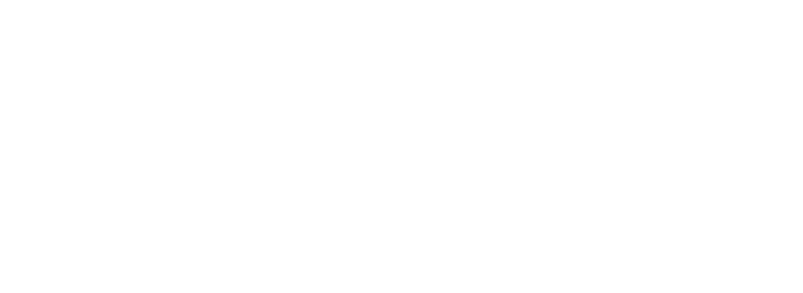 LOGO INT 2