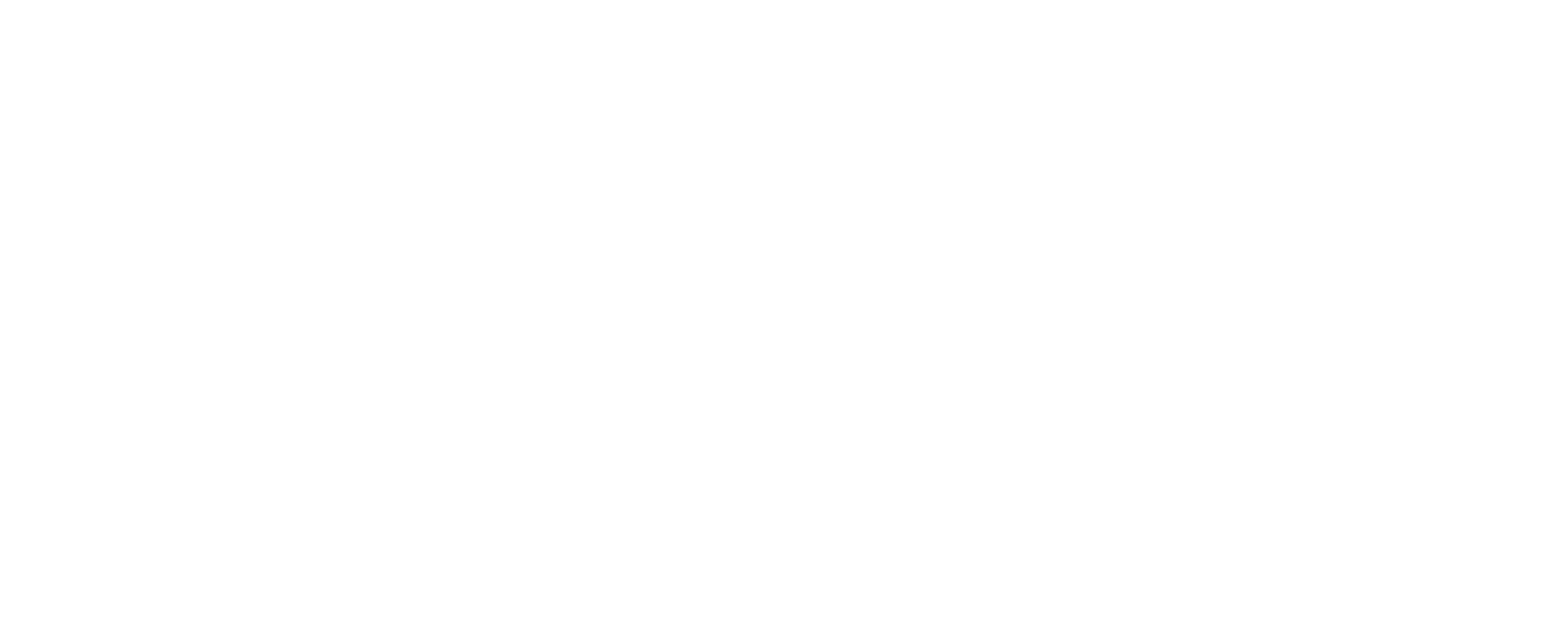 LOGO NEXUS 2